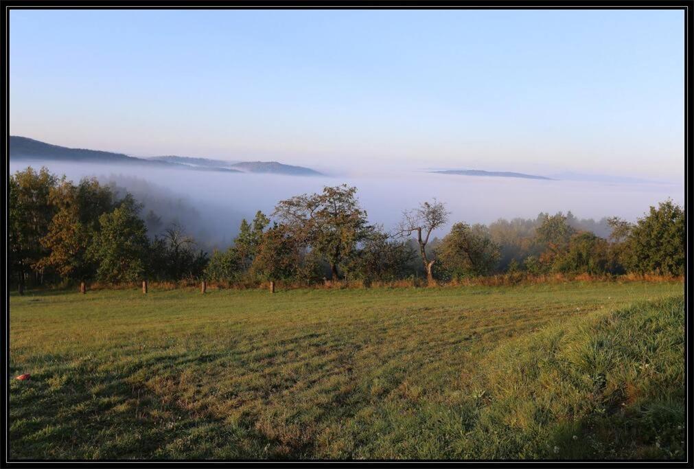 Swiety Spokoj Palesnica Esterno foto